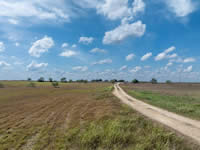 house for sale in Yorktown Texas