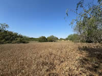 313 Fairview, Nordheim, TX 78141