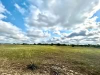 10480 FM 237, Yorktown, TX 78164
