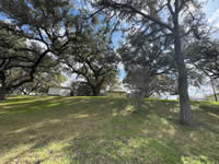 184 Royal Oaks #2, Yorktown, TX 78164