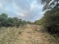 land for sale in Yorktown Texas