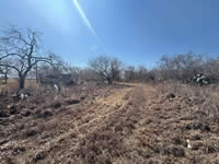 705 Sixth St., Nordheim, TX 78141