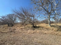 705 Sixth St., Nordheim, TX 78141