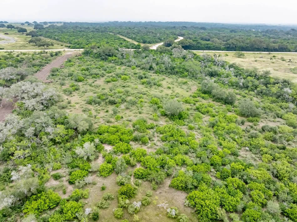 Weischwill Real Estate Hohn Rd, Nordheim, TX 78141