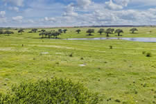 000 TBD Hohn Rd, Nordheim, TX 78141