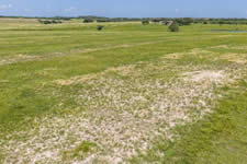 000 TBD Hohn Rd, Nordheim, TX 78141