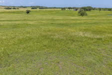 000 TBD Hohn Rd, Nordheim, TX 78141