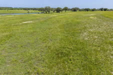 000 TBD Hohn Rd, Nordheim, TX 78141