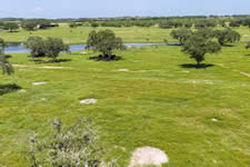 000 TBD Hohn Rd, Nordheim, TX 78141