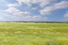 000 TBD Hohn Rd, Nordheim, TX 78141
