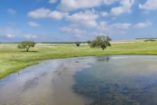 000 TBD Hohn Rd, Nordheim, TX 78141