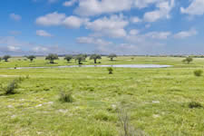 000 TBD Hohn Rd, Nordheim, TX 78141