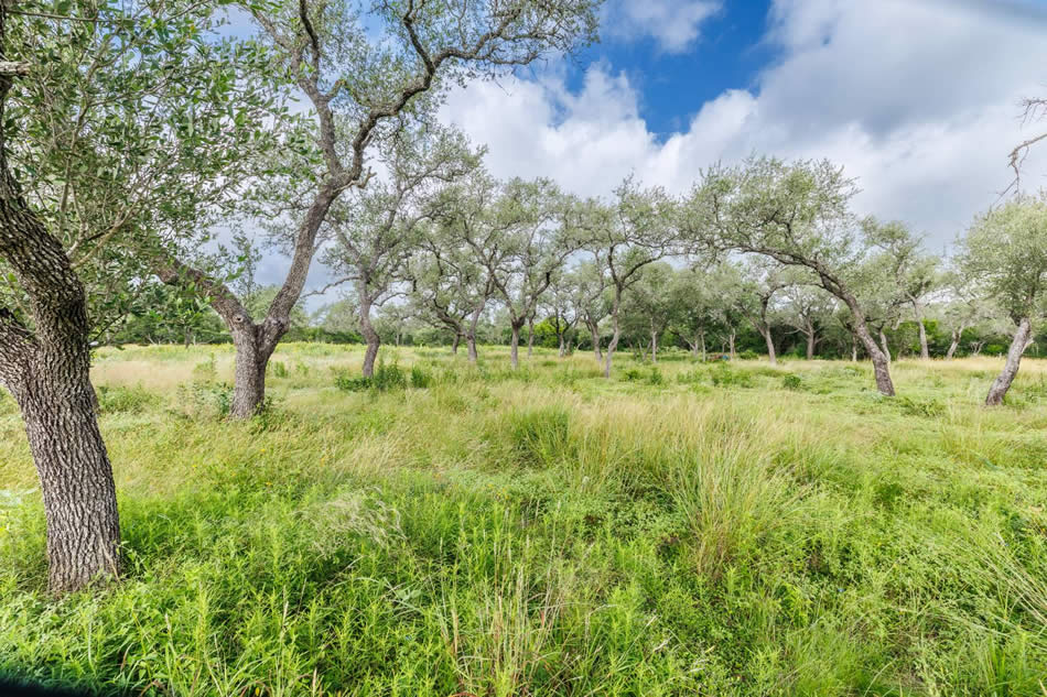 TBD Talk Ranch Rd.- Nordheim, TX 78141