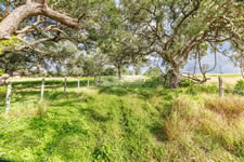 TBD Talk Ranch Rd.- Nordheim, TX 78141