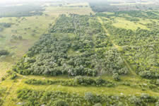 TBD Talk Ranch Rd.- Nordheim, TX 78141