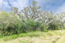 TBD Talk Ranch Rd.- Nordheim, TX 78141