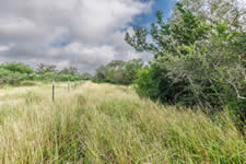 TBD Talk Ranch Rd.- Nordheim, TX 78141
