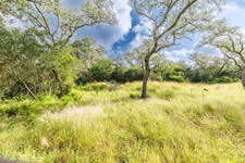 TBD Talk Ranch Rd.- Nordheim, TX 78141