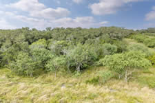 TBD Talk Ranch Rd.- Nordheim, TX 78141