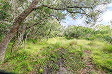 TBD Talk Ranch Rd.- Nordheim, TX 78141