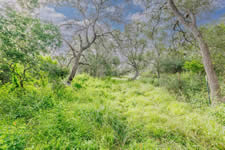 TBD Talk Ranch Rd.- Nordheim, TX 78141