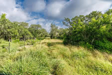 TBD Talk Ranch Rd.- Nordheim, TX 78141