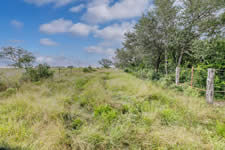 TBD Talk Ranch Rd.- Nordheim, TX 78141