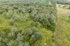 TBD Talk Ranch Rd.- Nordheim, TX 78141