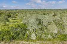 TBD Talk Ranch Rd.- Nordheim, TX 78141