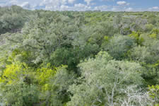 TBD Talk Ranch Rd.- Nordheim, TX 78141