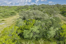 TBD Talk Ranch Rd.- Nordheim, TX 78141