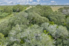 TBD Talk Ranch Rd.- Nordheim, TX 78141