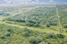 TBD Talk Ranch Rd.- Nordheim, TX 78141