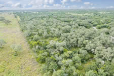 TBD Talk Ranch Rd.- Nordheim, TX 78141