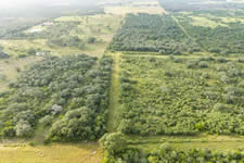 TBD Talk Ranch Rd.- Nordheim, TX 78141
