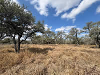 TBD Talk Ranch Rd.- Nordheim, TX 78141