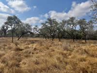 TBD Talk Ranch Rd.- Nordheim, TX 78141