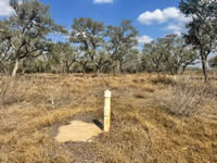 TBD Talk Ranch Rd.- Nordheim, TX 78141