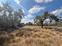 TBD Talk Ranch Rd.- Nordheim, TX 78141