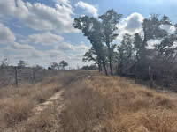 TBD Talk Ranch Rd.- Nordheim, TX 78141