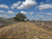 TBD Talk Ranch Rd.- Nordheim, TX 78141