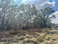 TBD Talk Ranch Rd.- Nordheim, TX 78141