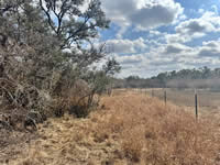 TBD Talk Ranch Rd.- Nordheim, TX 78141