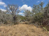 TBD Talk Ranch Rd.- Nordheim, TX 78141