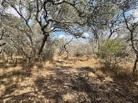 TBD Talk Ranch Rd.- Nordheim, TX 78141