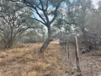 TBD Talk Ranch Rd.- Nordheim, TX 78141