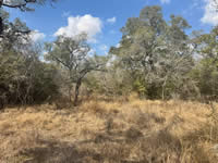 TBD Talk Ranch Rd.- Nordheim, TX 78141