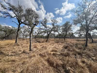 TBD Talk Ranch Rd.- Nordheim, TX 78141
