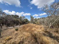 TBD Talk Ranch Rd.- Nordheim, TX 78141