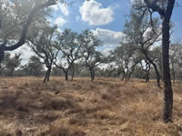 TBD Talk Ranch Rd.- Nordheim, TX 78141
